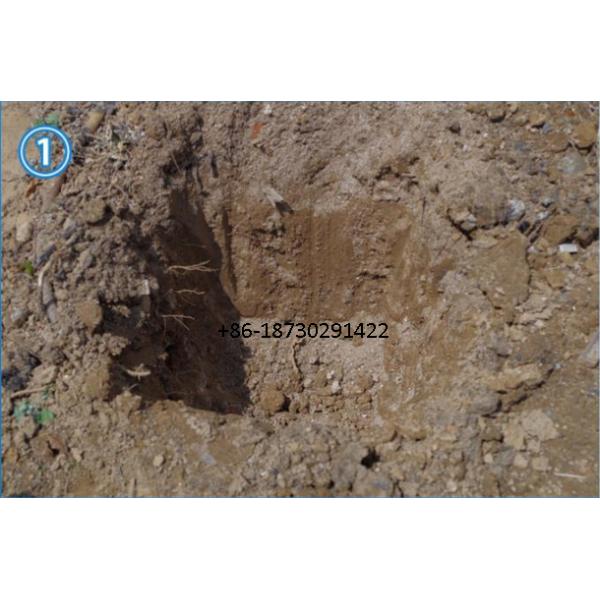 China ready stock 60x60 mm euro fence mesh Pvc coating made in china