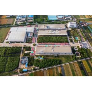 Delicious Yellowish 3*5cm Fresh Crispy Fried Shallot