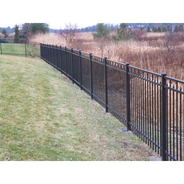 wrought iron fence 48.jpg