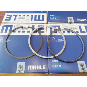 10191NO VOLVO Piston Rings
