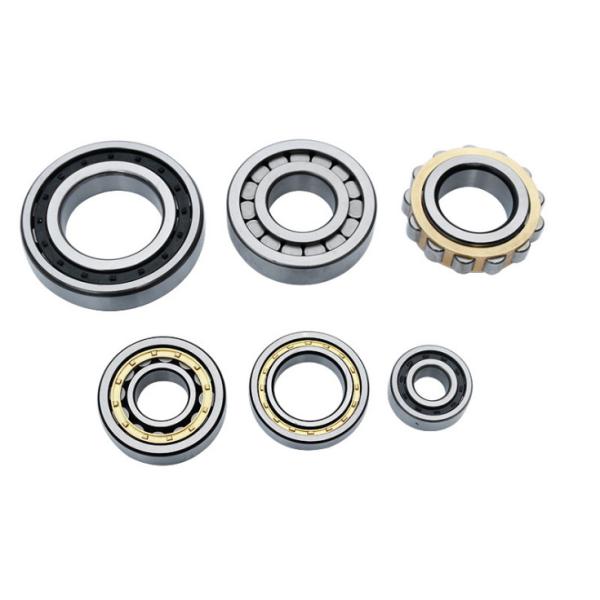 Buy Single Row Cylindrical Roller Bearing NJ205 With Brass Cage at wholesale prices