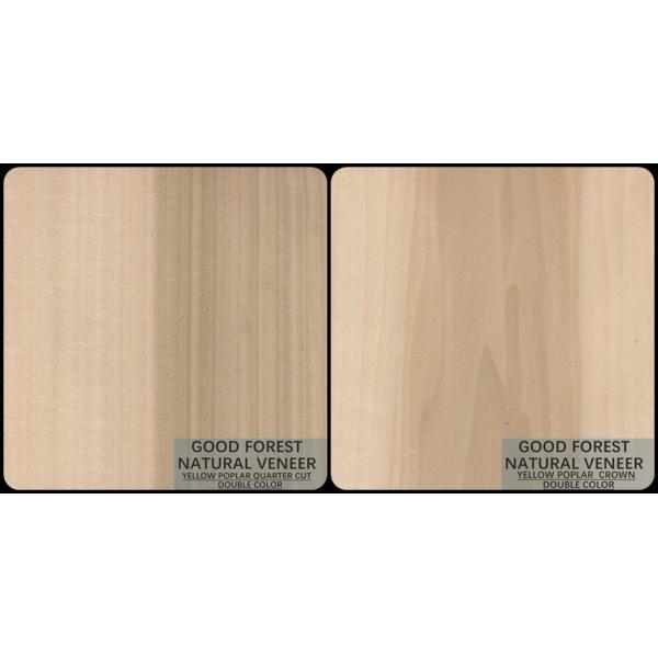 Mappa Tulip Natural Wood Veneer Boxwood Excellent Double Color