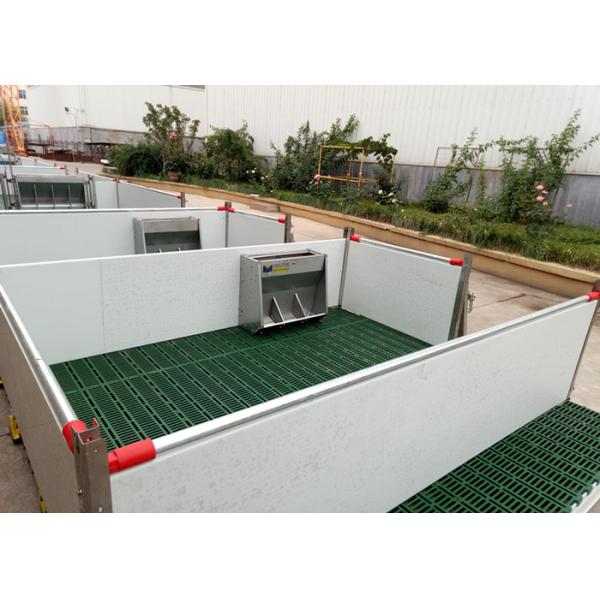 Customized Size Pig Farm Equipment Farrowing Crate For Sow / Piglet High Performance
