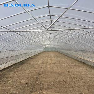 China Tomato Growing Naturally Ventilated Greenhouse Plastic Film Greenhouse on sale