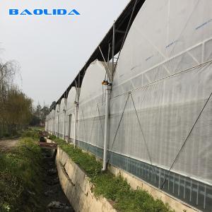 Turnkey Installed Commercial Hydroponic Plastic Film Greenhouses Multi Span