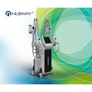 China 4 cryo handles cryolipolysis effective fat removal machine on sale