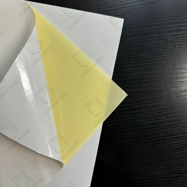 Buy 60g /70g /80g /90g Semi-glossy Label Paper With White Or Yellow Glassine Backing For Yogurt Labels. at wholesale prices