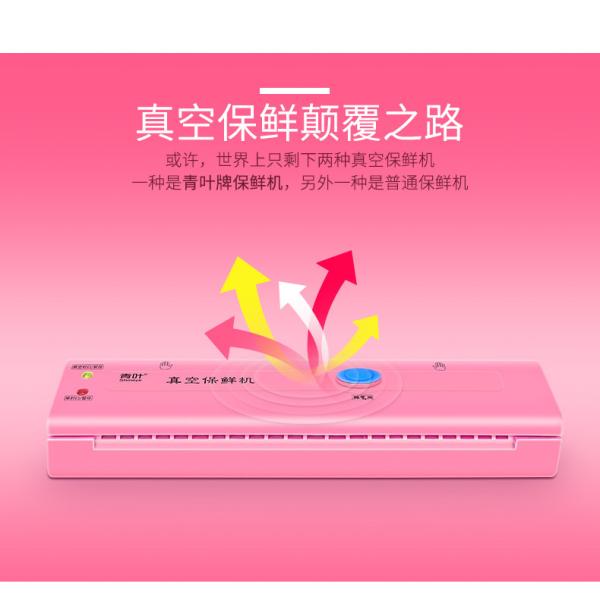 NEW Househlod Food Vacuum Sealer Packaging Machine Film Sealer Vacuum packer DZ-108