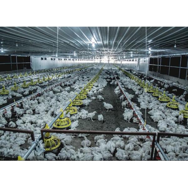 HI HOPE Chicken Farm Equipment 45cm Dia Pipe