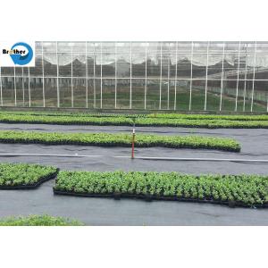 PP Woven Ground Cover Garden PP Woven Weed Barrier Control Mat Landscape Fabric