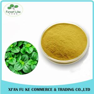 Peppermint / Mentha Haplocalyx Leaf Extract Menthol