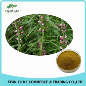 Clear Heart and Regulate Menses Natural Motherwort Herb Extract