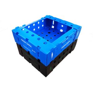 11lbs Fresh Okra PP Corrugated Plastic Packaging