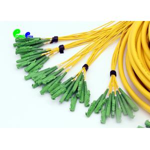 E2000 - E2000 48F Fiber Optic Patch Cables OS2 Multifiber Single Mode Breakout