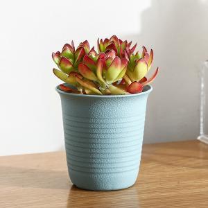 SGS PP OD7.5 Mini Plastic Plant Flower Pots