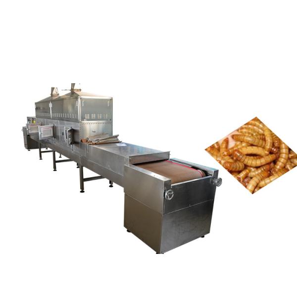 20 KW Top Selling Black Soldier Fly Stainless Steel Microwave Drying Sterilizing