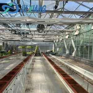 Proper Intelligent Garden Glass Frame Agriculture Greenhouse Sale 100.000kg