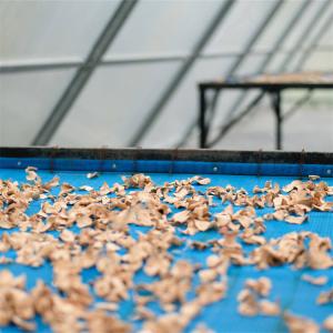Efficient Greenhouse for Drying Herbs and Fruits with Ventilated PC Board Design