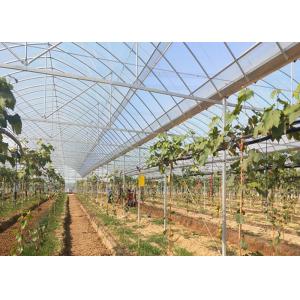 Multipurpose Plastic Cover Greenhouse For Vegetable Tomato Strawberry Pepper