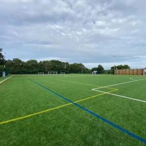 2021 Japan/korea Grass Artificial Turf Soccer Field 2 Years 3/4inch 40-60mm CN