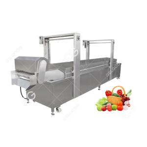 Automatic Food Precooking Vegetable Blanching and Cooking Machine
