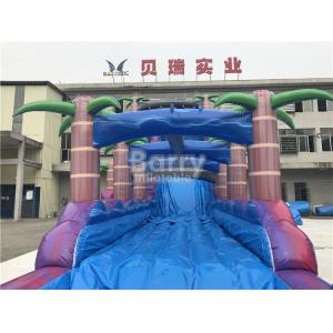 Purple Adult Kids Inflatable Water Slides With Pool ,