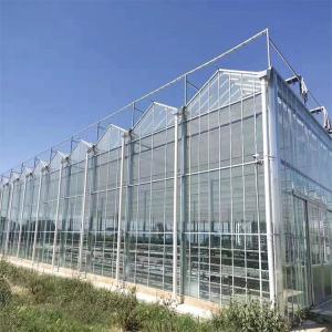 Venlo Commercial Polycarbonate PC Sheet Agricultural Large Tunnel Greenhouse