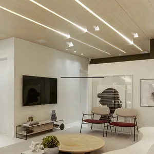 Chasing Light Running Water 2835 LED Strip SMD DC 24V Ws2811 120leds/M White Red Green Blue Purple Golden LED Strip