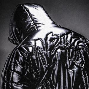 Clothing Manufacturers Custom High Street Cropped Winter Shiny Polyester Padded