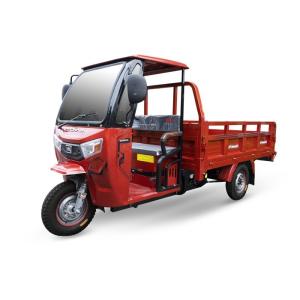 3000W Cabin Electric Cargo Tricycle With Awning Customizable Color And Size