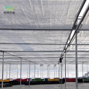 Customized Multi-Span Film Greenhouse for Hydroponic Tomatoes/Cucumbers/Peppers