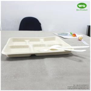 100% Biodegradable Sugarcane Pulp 5 Compartments Tray-High quality Biodegradable