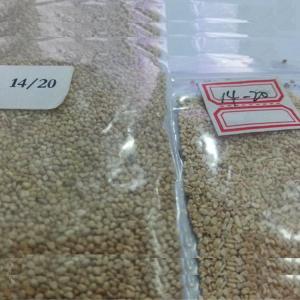 Quality 5# -180# High quality eco-friendly Natural corncob powder for cleaning building surfaces for sale