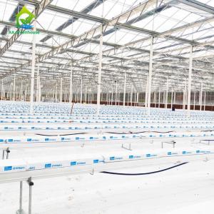 5.8m Length Commercial Aquaponics System Soilless Culture Fish And Plant System