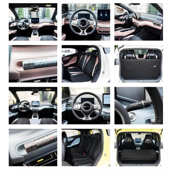 BYD Seagull Flying Version 2023 SUV Electric Car Vehicle 405km/420km EV Mini Pure Free Vigorous Edition