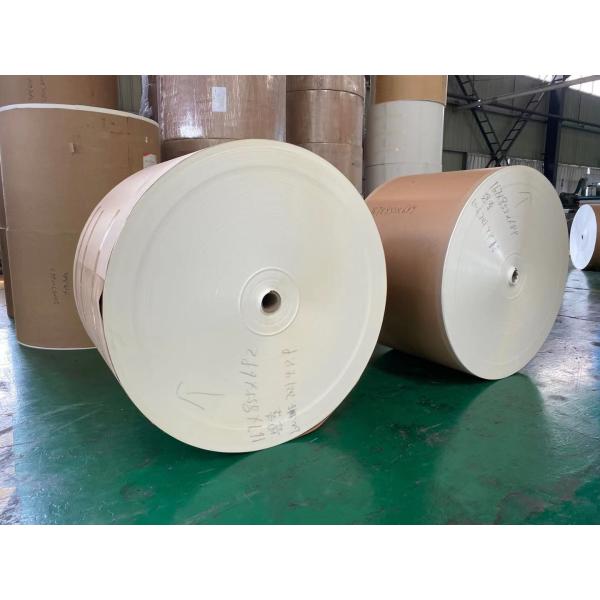 Buy FSC Ivory Board Paper 170gsm 190Gsm Bristol Paper Board at wholesale prices