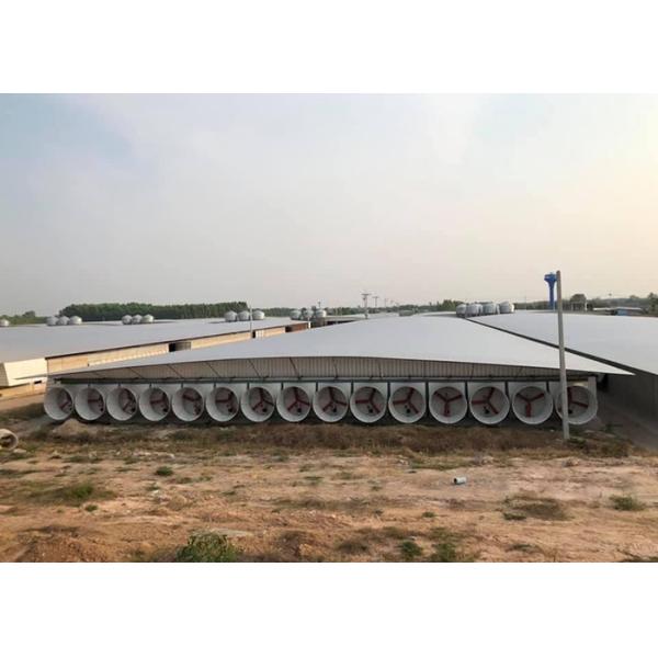2.5 - 30 Tons Silo Piggery Farm Equipment Swine Breeding Equipment ISO9001