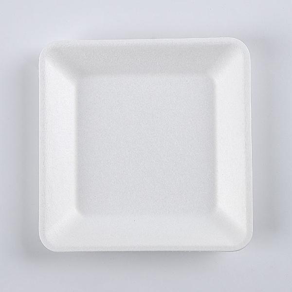 Compostable disposable bagasse food container biodegradable sugarcane tableware Bagasse Square Plate