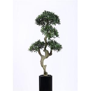 Quality Four Heads Bonsai Pine Tree Elegant Charming Highly Lifelike Appearance for sale