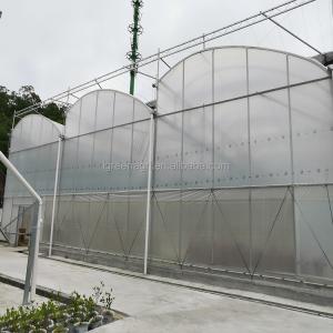 IGreen Tunnel Strawberry Greenhouses PE Greenhouse for Vegetable and Flower