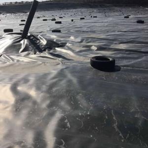 Plastic PE 3mm Geotextile Impermeable Membrane For Permeable Paving