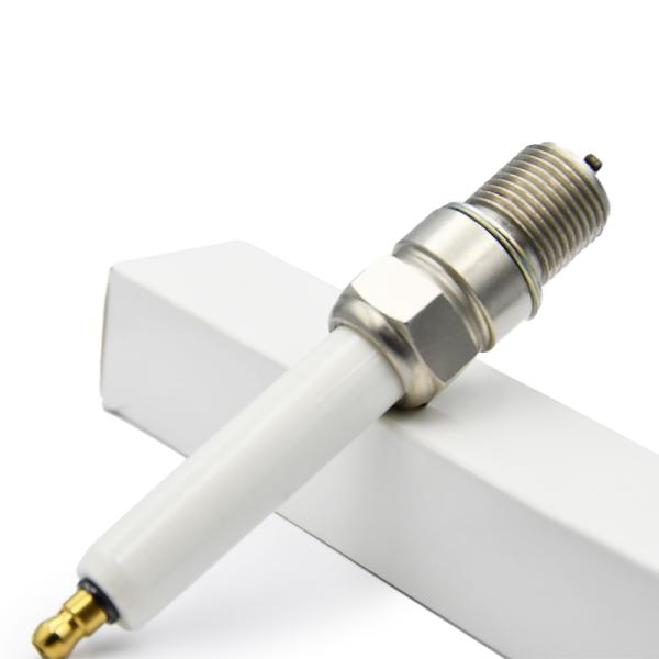 Engine Spark Plug Apply For MWM L1863B L1863DP L1863IP