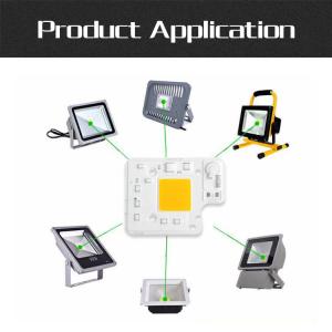 Warm White 50W LED Chip COB LED Module Customized Logo With Driver On Board