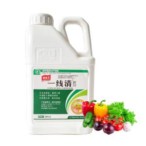 35-60% Organic Soil Conditioner Fertilizer Agriculture Humic Acid Granular