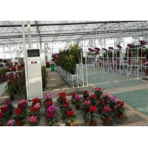 8m*4m Dimenison Garden Glass Greenhouse Easily Assembled Highly Durable