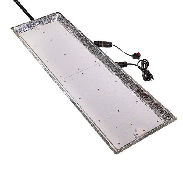 Buy AC100V 2umol/J Commercial LED Grow Lights at wholesale prices