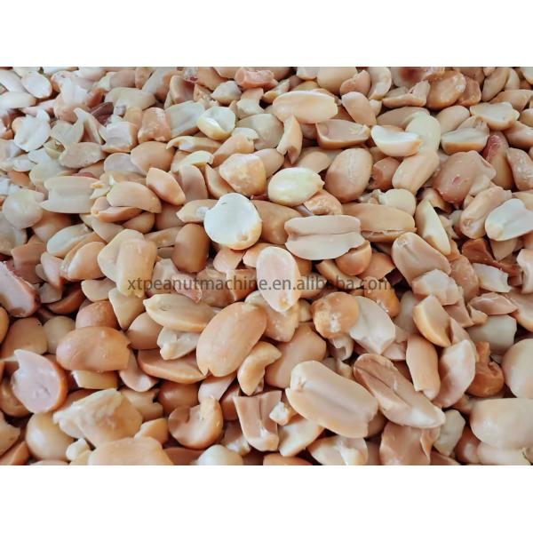 Stainless Steel Fully Auto Split Peanut Blancher Machine SUS304 for Blanching & Splitting Peanuts