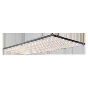 Separate Hanger 240W 3500K Indoor Horticulture Lighting