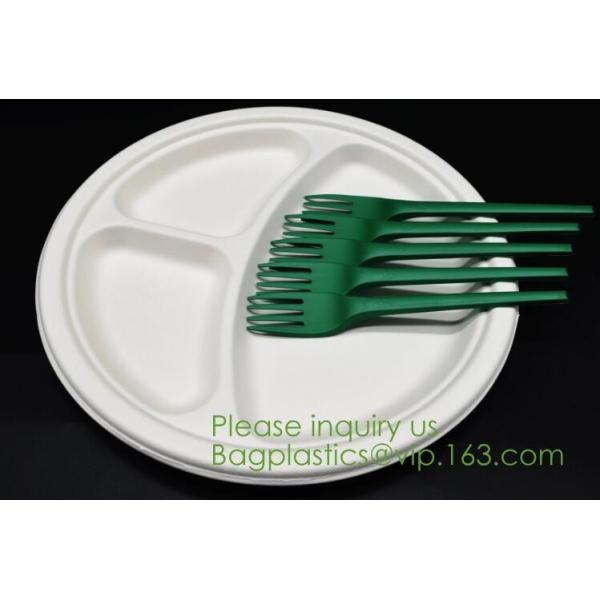 Biodegradable, Sugar Cane, Sugarcane Bamboo Pulp, Bento Box, Bagasse Food