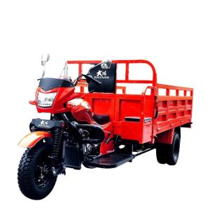 DAYANG 3 Wheel Motorcycle with Orange Body and Lifan 250CC 300CC Ultra-Cooled